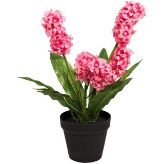 Гиацинт в горшочке розовый 40 см (6) (TT-00001392) Гиацинт в горшочке розовый 40 см (6) (TT-00001392)