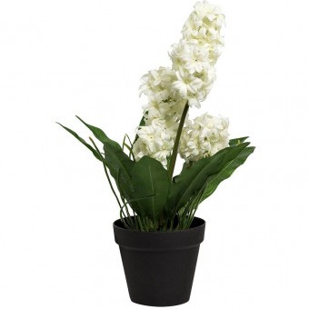 Гиацинт в горшочке белый 40 см (6) (TT-00001393) Гиацинт в горшочке белый 40 см (6) (TT-00001393)