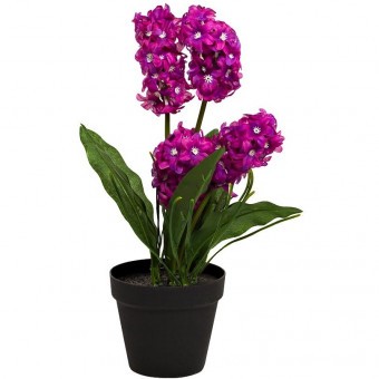Гиацинт в горшочке фиолетовый 40 см (6) (TT-00001394) Гиацинт в горшочке фиолетовый 40 см (6) (TT-00001394)